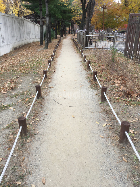 벽,담,wall,보도,walkway,sidewalk,풍경,scenery,나무,tree,나무줄기,treetrunk,낙엽,deciduous,잎,leaf,생활,life,공원,park,바닥,땅,ground,floor,flooring,식물,plant,통로,path,길,road,흙길,dirtroad