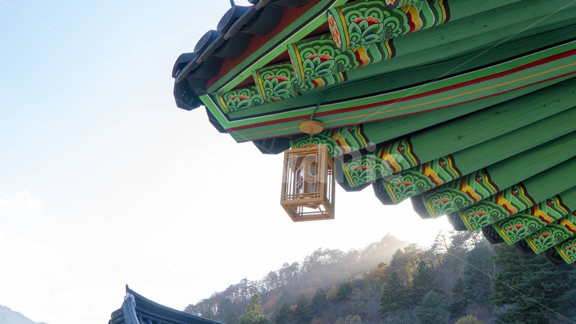 절,사찰,지붕,전등,서까래,한국,동양,건축,가을,한국전통,한국문화,korean traditional,korean culture