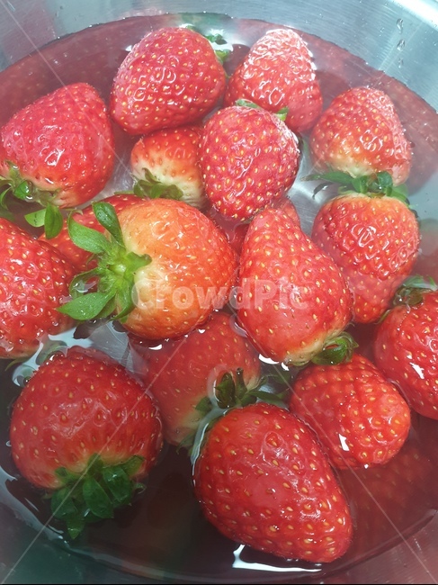 딸기,strawberry,과일,음식,food