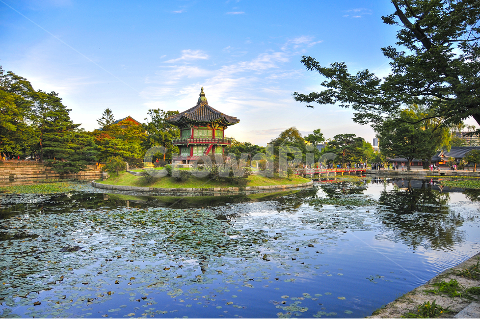 향원정,경복궁,연못,궁,궁궐,정자,한국전통,한국문화,korean traditional,korean culture,랜드마크,landmark,tourist attraction,한국랜드마크,한국관광지,한국명소,korea landmark,korea tourist attraction