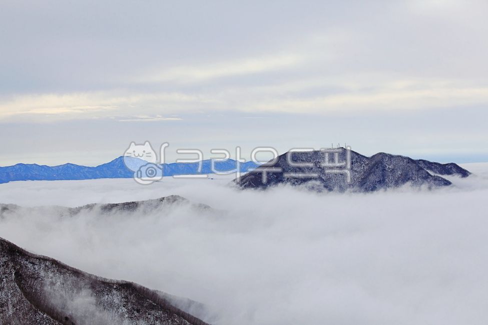 겨울,운해,안개,산,등산,하얀,눈,하얀눈,snow,흐린날씨,높은산,고산,추운,차가운,경치,배경,겨울배경,겨울분위기,12월,자연,야외,흰눈,경관,한겨울,mountain,cold,나무,weather,날씨,outdoors,겨울산,white,winter,nature,scenery,view,tree,하늘,sky,fog