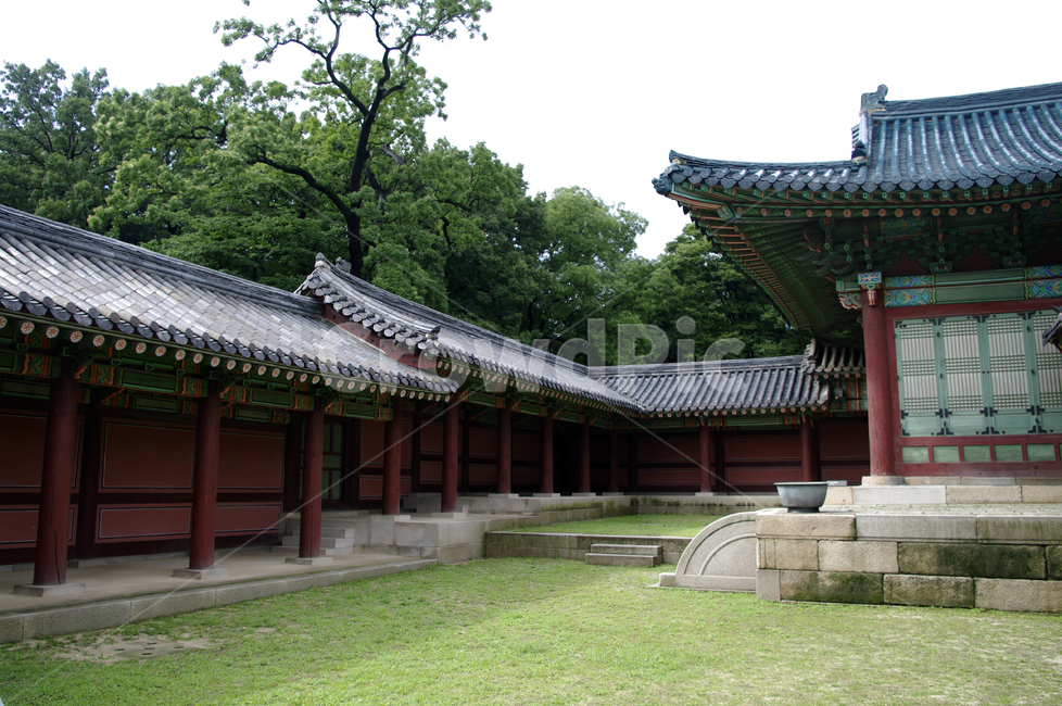 선정전,청기와,창덕궁,고궁,한옥,전통가옥,기와지붕,건축,traditional,한국전통,한국문화,korean traditional,korean culture,랜드마크,landmark,tourist attraction,한국랜드마크,한국관광지,한국명소,korea landmark,korea tourist attraction,건축물,건물외관,exterior,building,structure,architecture,construction