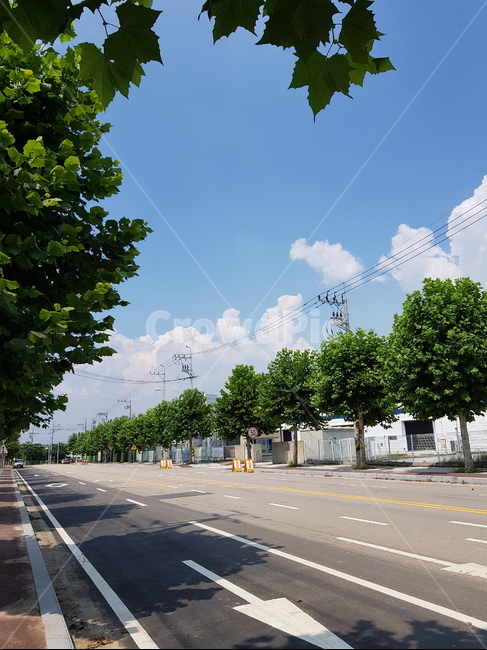 하늘,구름,풍경,자연,도로,아스팔트,맑음,나무,sky,road,cloud