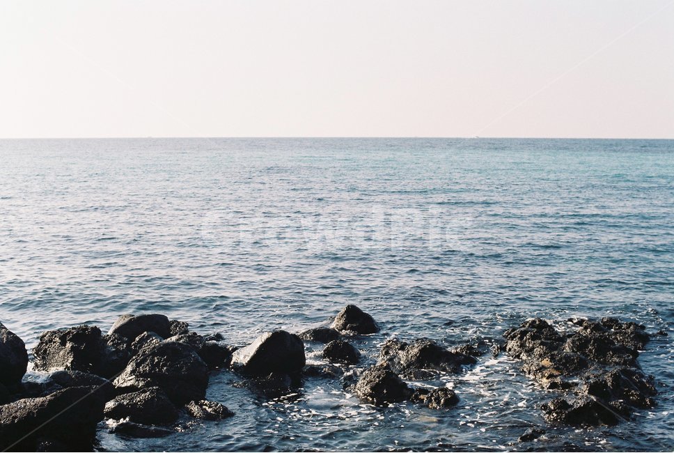 바다,해변,섬,제주도,풍경,필름카메라,필름사진,jejuisland,sea,beach,film,filmpic,filmcamera,자연,풍경,nature,landscape,제주도,jeju,jeju island,promontory,곶,water,물,outdoors,옥외,ocean,대양
