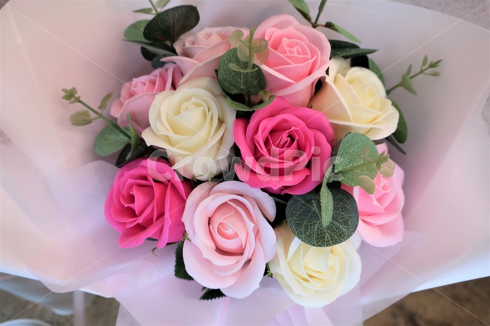 꽃,꽃다발,축하,선물,기념,기념일,포장,포장지,장미,식물,꽃,flower,기념일,축하,anniversary,congratulation,celebrate,celebration