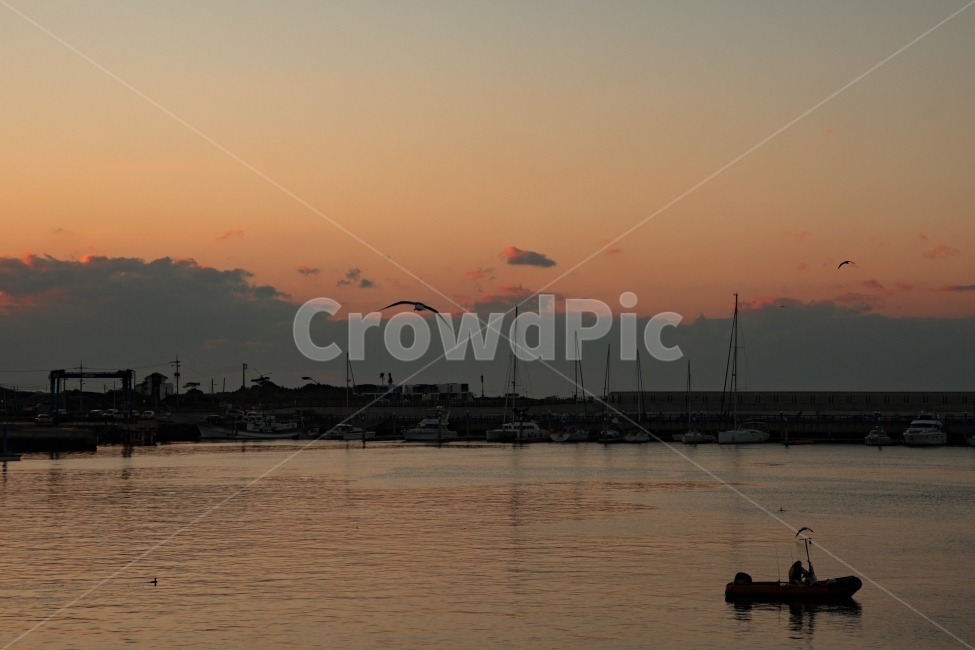 제주도,석양,일몰,풍경,항구,자연,풍경,nature,landscape,교통,교통수단,traffic,transportation,water,물,waterfront,워터 프론트
