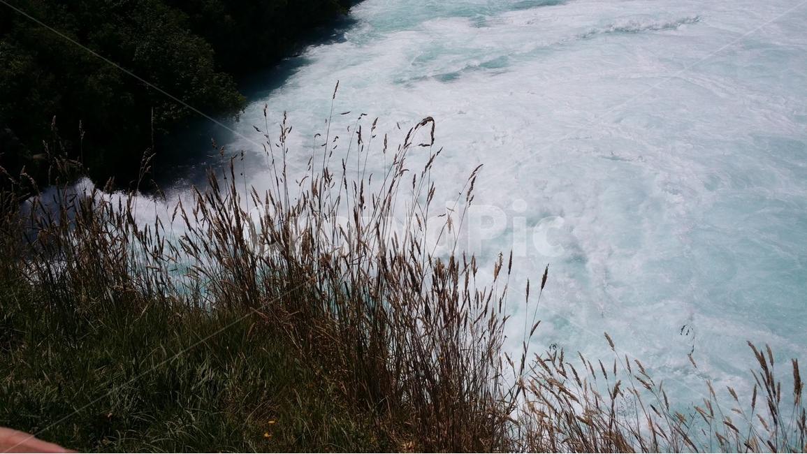 뉴질랜드,FUKAFalls,폭포수,웅장함,청정수,시원함,관광지,식물,자연,plants,nature