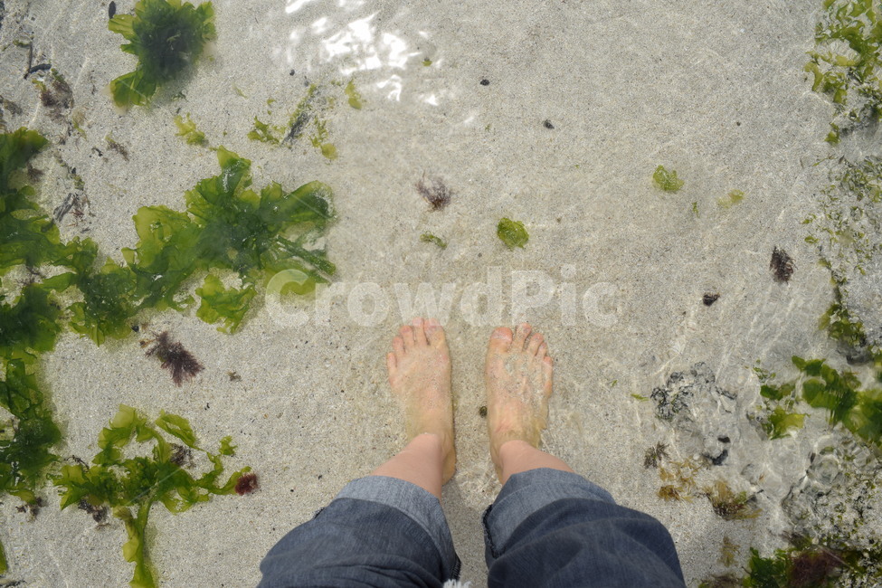 바다,제주도,발,여름,해초,발가락,해변,바다,beach,sea