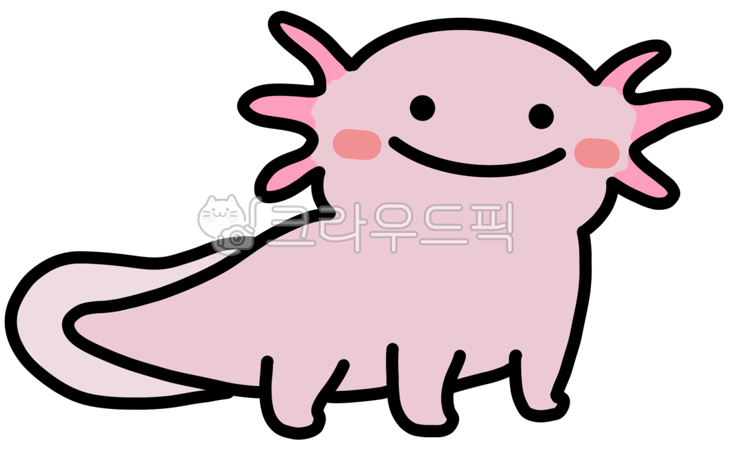 우파루파,귀여운,도롱뇽,일러스트,캐릭터,동물