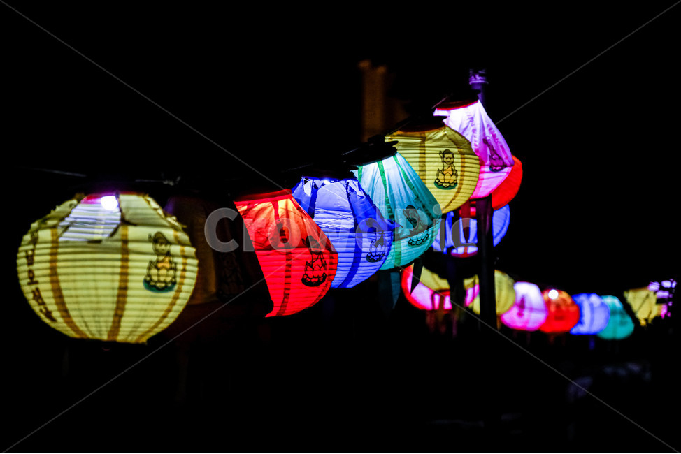 연등,전등,절,부처님오신날,불빛,부처님,temple,light,야경