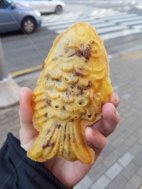 붕어빵,음식,음식사진,food,길거리음식,잉어빵,겨울,계절,winter,season,음식,식재료,요리,food,cook,meal,dishes,food reserves,빵,bread,한식,한국음식,한국요리,korean food,korean dishes,korean meal,korean cook