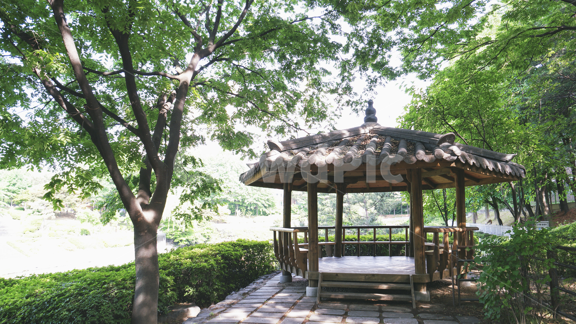 공원,자연,나무,식물,정자,휴식,야외,풍경,쉼터,배경화면,park,nature,woods,plants,gazebo,outside,relax,rest,background,naturebackground,자연,풍경,nature,landscape