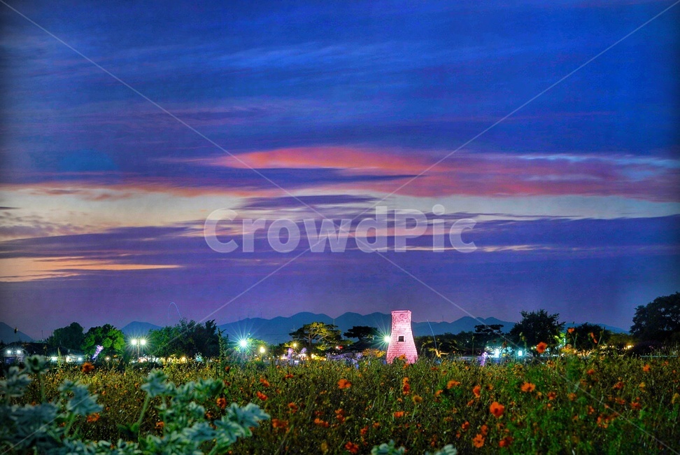 꽃,flow,자연,야외,옥외,야경,첨성대,관광지,감성,꽃밭,구름,노을,sky,야경,밤,풍경,nightscape,night,landscape