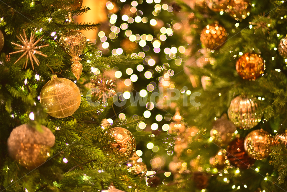 크리스마스,성탄트리,년말장식,성탄절,christmas,xmas,decoration,tree,ball,성탄볼,보케,빛망울,화려한,칼라풀,조명,불빛,라이트,색감,colorful,light,bokeh,배경,바탕,백그라운드,background,나무,장식,christmastree,크리스마스트리,plant,식물,메리크리스마스,성탄절,merry christmas