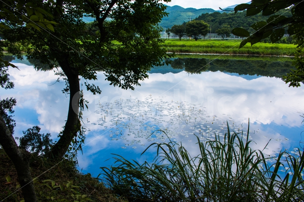 강,하늘,반영,고요함,강물,여름,계절,summer,season,자연,풍경,nature,landscape,휴식,힐링,rest,relaxation,healing,water,물,outdoors,옥외,land,땅