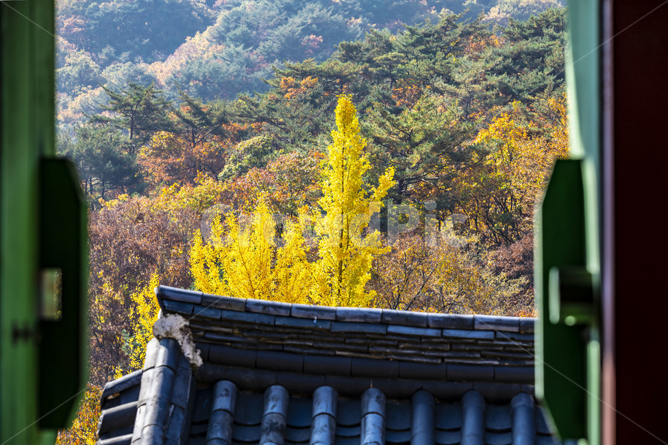 청평사,단청,기와,기와지붕,가을,처마,단풍,전통가옥,전통건축물,건축물,전통대문,지붕,roof,감성,가을,계절,fall,autumn,season,한국전통,한국문화,korean traditional,korean culture,건축물,건물외관,exterior,building,structure,architecture,construction