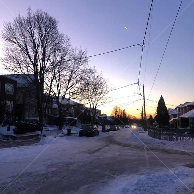 노을,sunshine,나무,tree,눈,snow,하늘,sky,거리,road,street,마을,일출,새벽