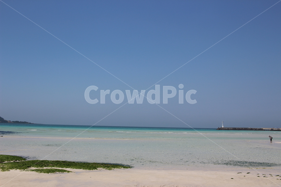 푸른바다,바다,하늘,제주도,제주,해변,모래사장,푸른하늘,모래,여름,sea,jeju,send,자연,풍경,nature,landscape
