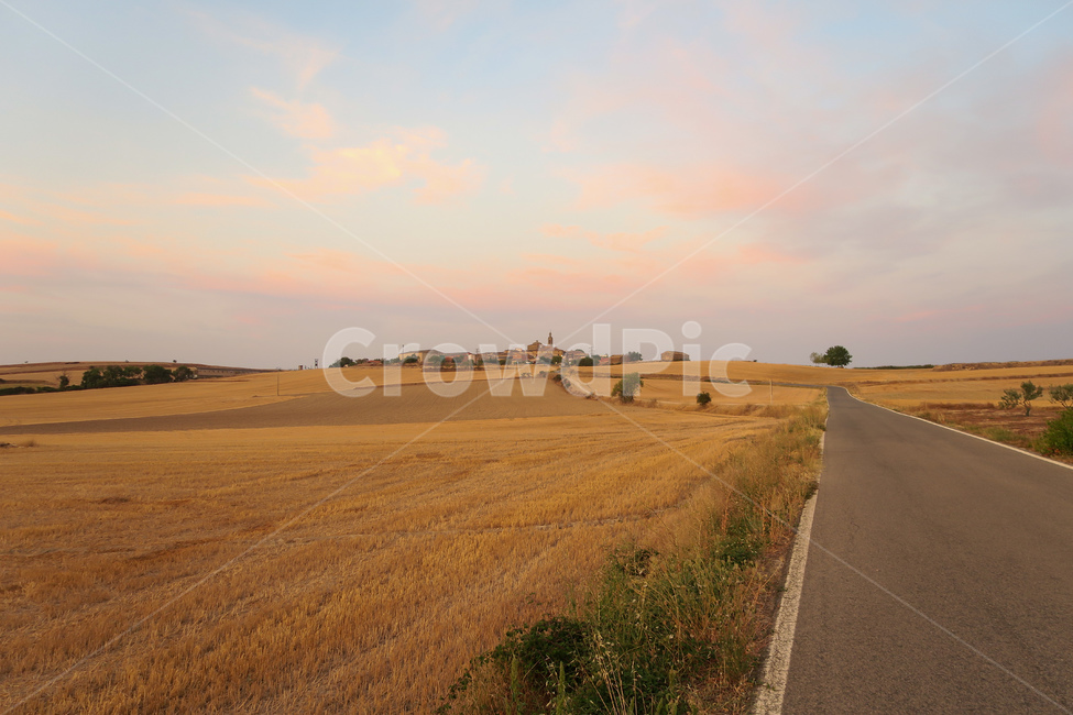 스페인,spain,españa,산티아고순례길,순례길,산티아고,순례,pilgrim,peregrino,caminodesantiago,camino,순례자,길,way,dirtroad,흙길,풍경,landscape,nature,자연,outdoors,road,도로,옥외,asansol,tosansol,산솔가는길,자연,풍경,nature,landscape