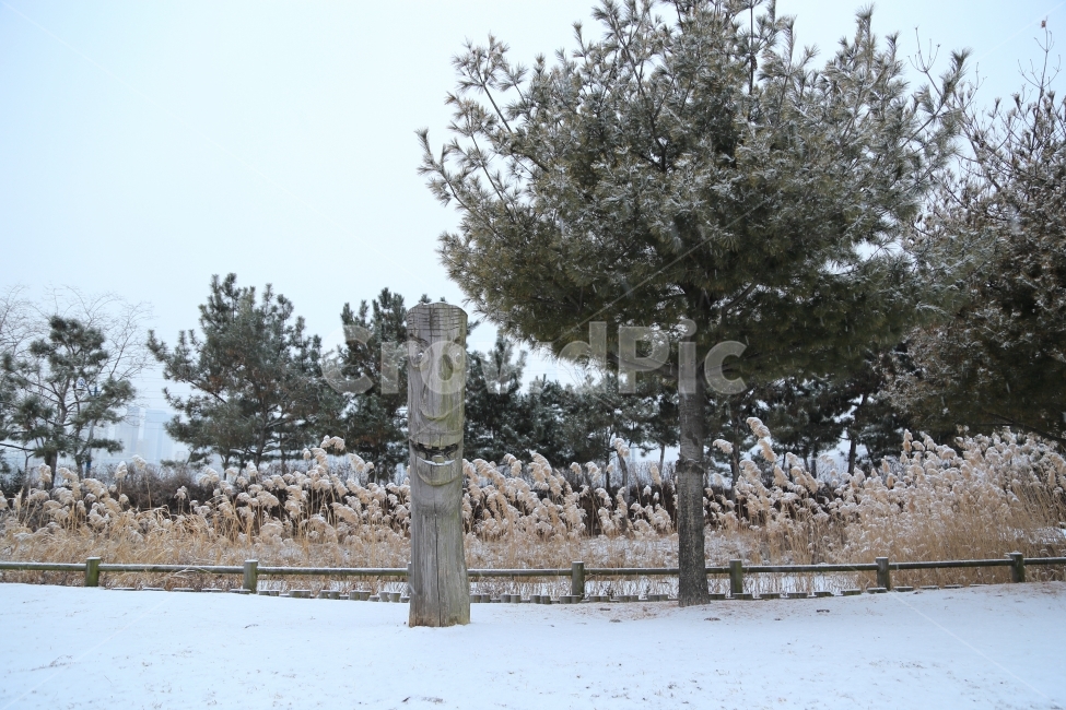 눈,나무,자연,눈길,장승,갈대,겨울,지킴,겨울,계절,winter,season,조각상,동상,석상,조형물,statue,bronze statue,stone statue