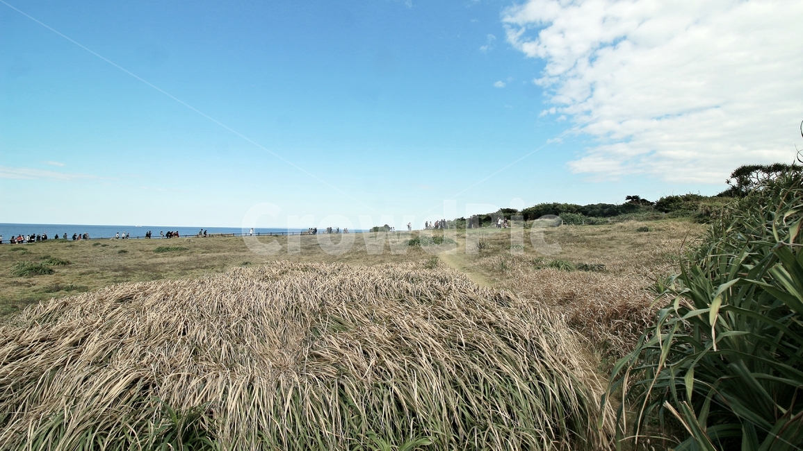 오키나와,일본,만좌모,바다,풍경,blue,landscape,landmark,sea,언덕,자연,okinawa,코끼리바위,sky,구름,자연,풍경,nature,landscape,해외,외국,세계,foreign,oversea,world,세계자연풍경,해외자연풍경,외국자연풍경,world nature landscape,plant,식물,grass,잔디,produce,생산액,food,음식