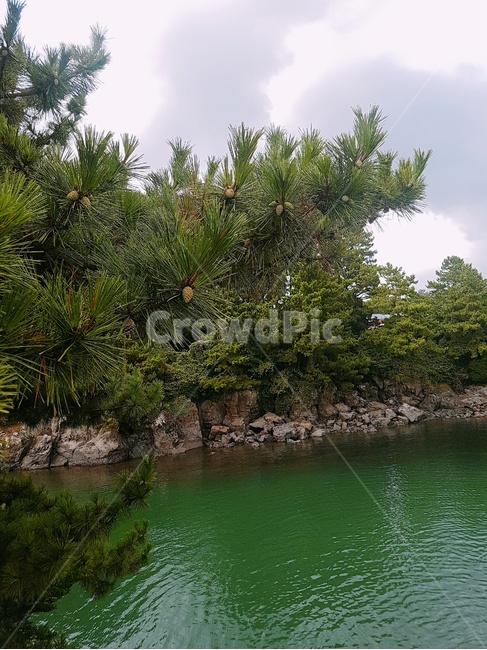 자연,nature,물,호수,나무,자연,풍경,nature,landscape
