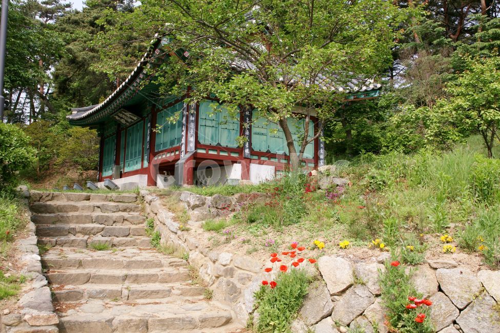 금란정,강릉,강릉문화재,정자,고건축,현판,기와,단청,선비