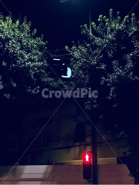 저녁,신호등,초록빛,빨간빛,빛,야경,밤,풍경,nightscape,night,landscape,교통,교통수단,traffic,transportation,traffic light,light