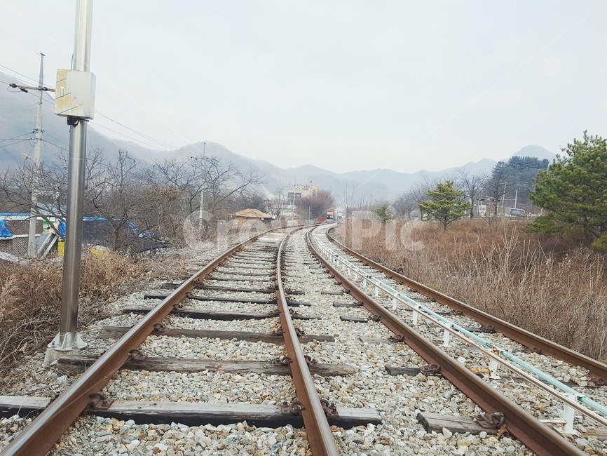 철길,철도,레일,레일바이크,기찻길,나무,돌,풍경,railbike,railroad,railroadtrack,rail,tree