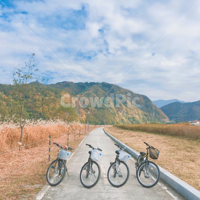 자전거,가을산,가을,단양,하늘