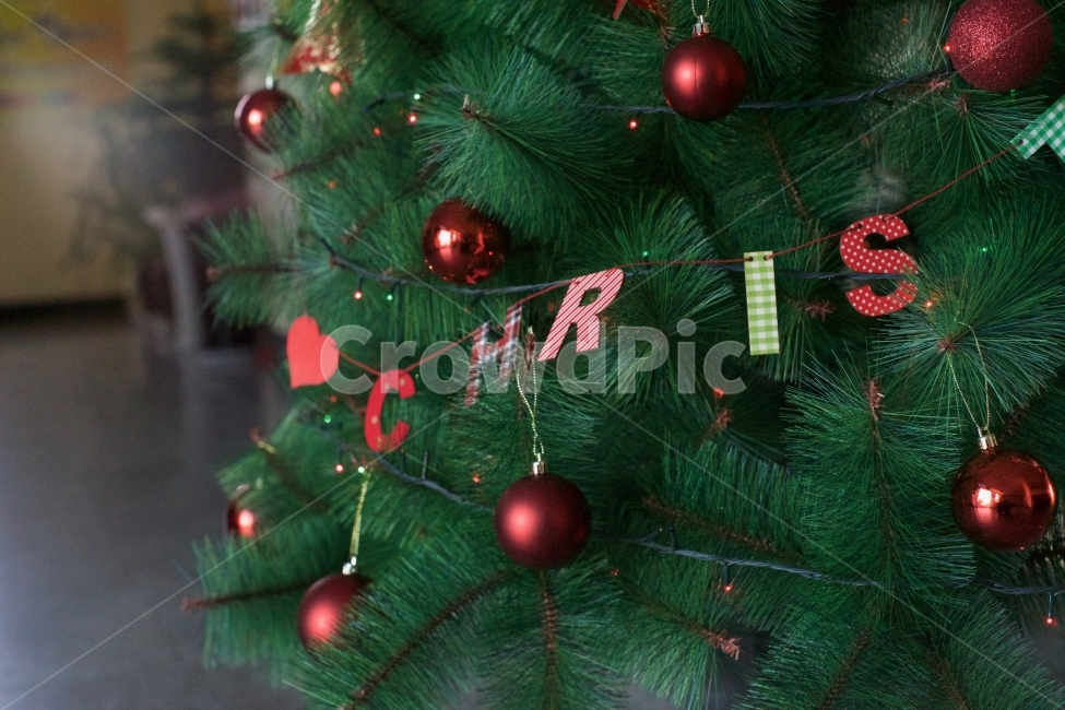 성탄절,성탄트리,크리스마스,christmas,성탄장식,겨울,계절,winter,season,기념일,축하,anniversary,congratulation,celebrate,celebration,메리크리스마스,성탄절,merry christmas