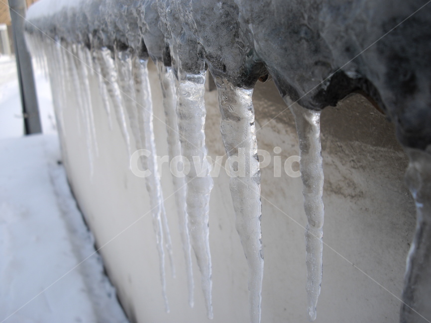 눈,폭설,겨울,winter,outdoor,snow,눈꽃,nature,자연,식물,plant,전나무,tree,옥외,고드름,ice,빙,겨울,계절,winter,season
