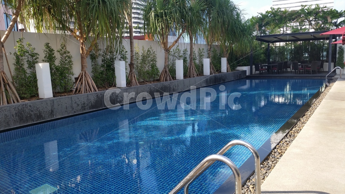 pool,수영장,호텔,여름,휴가