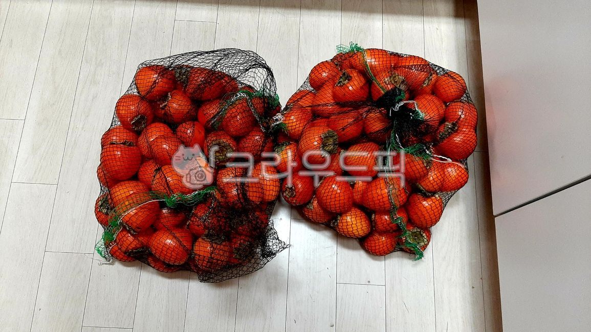 감,대봉감,단감,과일,그물망,한망,음식,식재료,계절