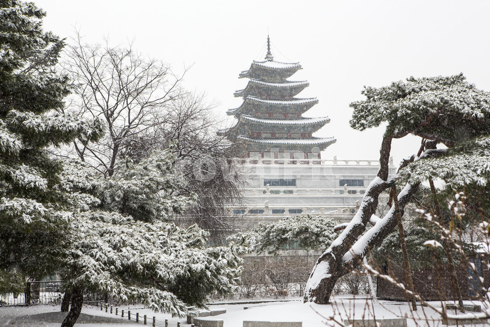 민속박물관,설경,관광지,풍경,문화유산,겨울,계절,winter,season,한국전통,한국문화,korean traditional,korean culture,랜드마크,landmark,tourist attraction,한국랜드마크,한국관광지,한국명소,korea landmark,korea tourist attraction
