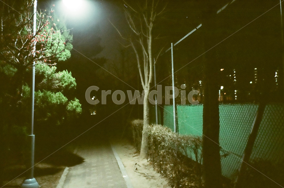 야간,조명,나무,철조망,필름감성,필름카메라,film,tree,night,야경,밤,풍경,nightscape,night,landscape,공포,호러,무서운,무서움,horror,terror,fear,light,빛,flare,플레어