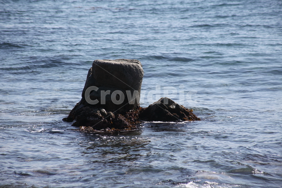 바다,동해,파도,sea,wave,동해바다,자연,풍경,nature,landscape,rock,록