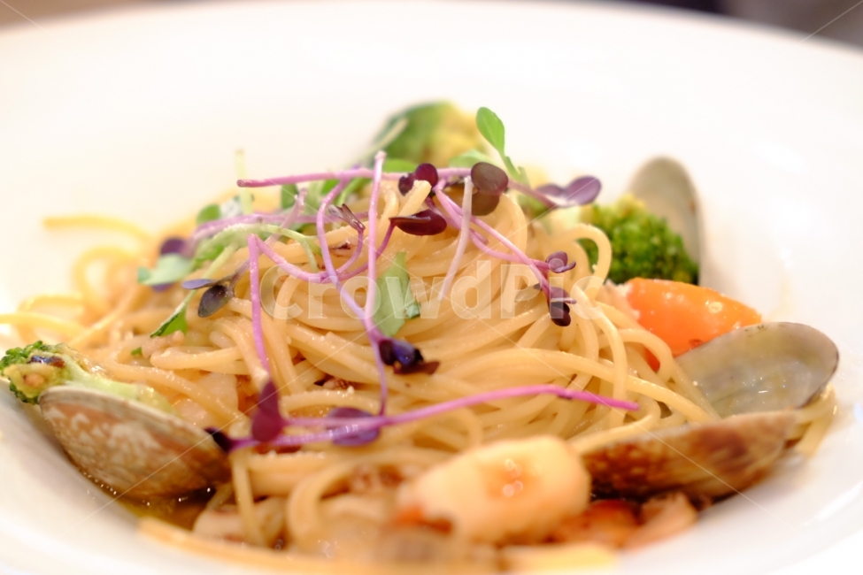 스파게티,양식,레스토랑,파스타,플레이팅,음식,분위기,색감,맛집,맛있는,예쁜,깔끔한,봉골레,음식,식재료,요리,food,cook,meal,dishes,food reserves,면류,면요리,noodles,양식,서양음식,서양요리,western food,western dishes,western meal,western cook