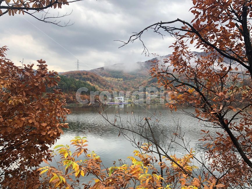 가을풍경,가을호수,흐린가을날,나무사이호수,비오기직전,흐린날,호수,낙엽,단풍