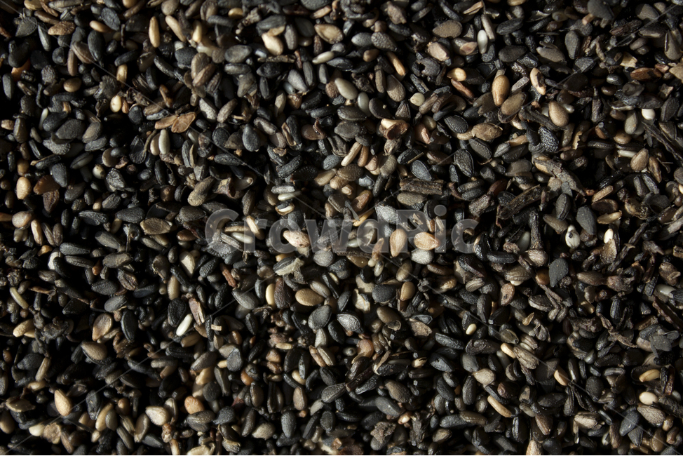 closeup,dry,dummy,food,grain,macro,meal,natural,nature,organic,plant,seed,seeds,sesame,sesameseed,sesameseeds,top,topangle,topview,yellow,깨,참깨,곡식,곡류,음식,음식재료,식재료,식물,씨앗,씨,말린,말리는,건조,자연,클로즈업,탑앵글,탑뷰,깨소금,농작물,농촌,농사,검정,블랙,검은색,black,검은깨,음식,식재료,요리,food,cook,meal,dishes,food reserves,곡류,곡식,cereals