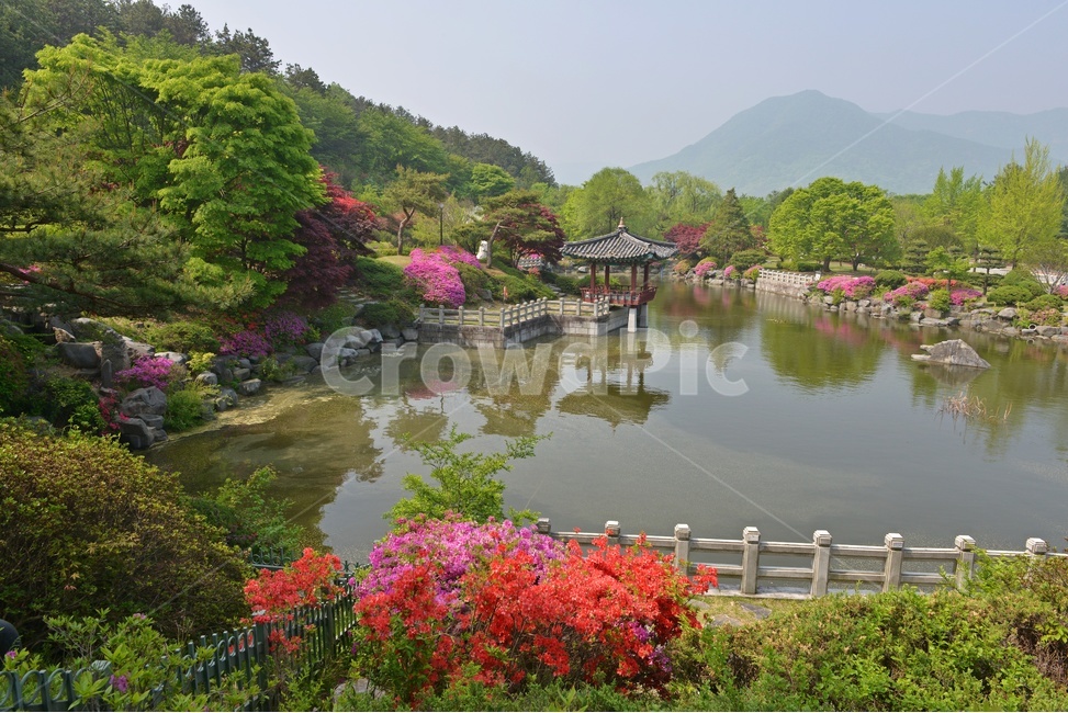 충남,대전,현충원,국립현충원,현충지,pond,못,garden,정원,연못,반영,현충지봄,철쭉,철쭉꽃,봄,계절,경치,경관,풍경,outdoors,옥외,nature,자연,water,물,plant,식물,tree,나무,정자,쉼터