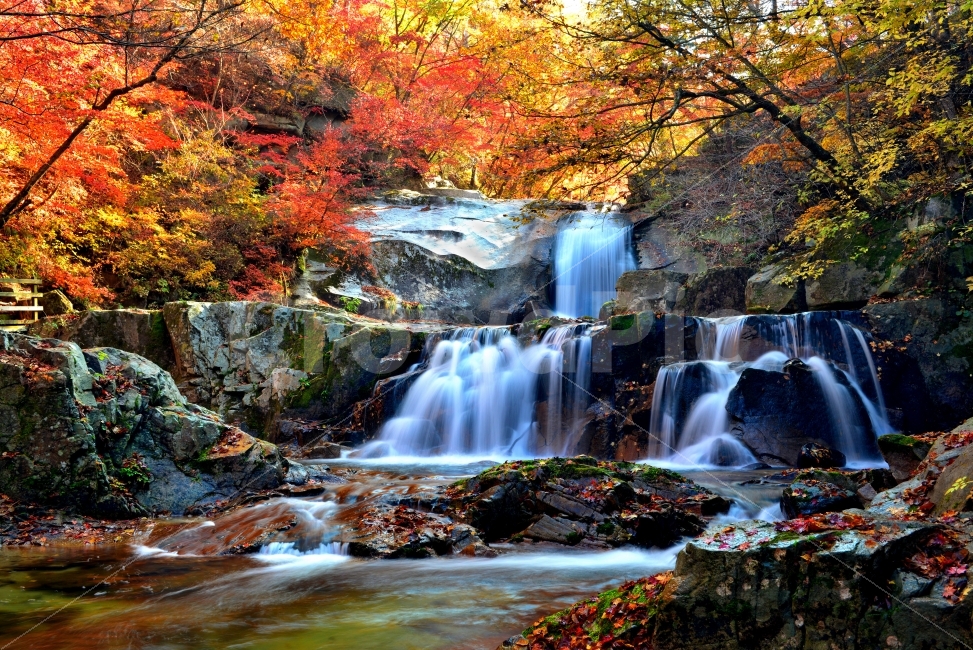 방태산,방태산2단폭포,가을풍경,단풍,인제,자연,풍경,nature,landscape,가을,계절,fall,autumn,season,water,물,river,강,outdoors,옥외