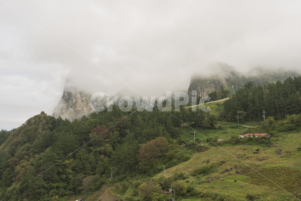 풍경,landscape,산,mountain,구름,croud,울릉도,자연,nature,생동감,fresh,숲,forest,하늘,sky,감성,자연,풍경,nature,landscape,한국자연풍경,한국자연경관,korea nature landscape,outdoors,옥외,weather,날씨