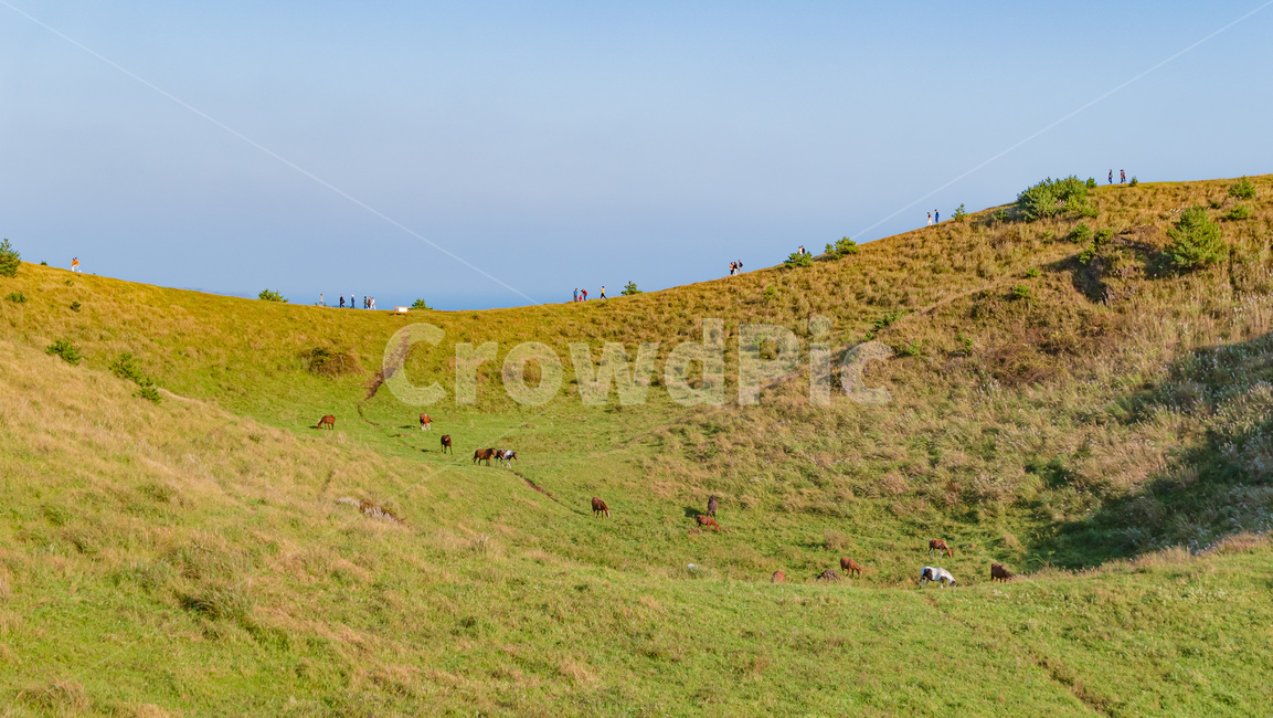 용눈이,용눈이오름,오름,orum,jeju,제주,제주도,제주오름,가을제주,가을,풍경,landscape,outdoors,자연,field,들,grassland,옥외,nature,목초지,hill,언덕,자연,풍경,nature,landscape