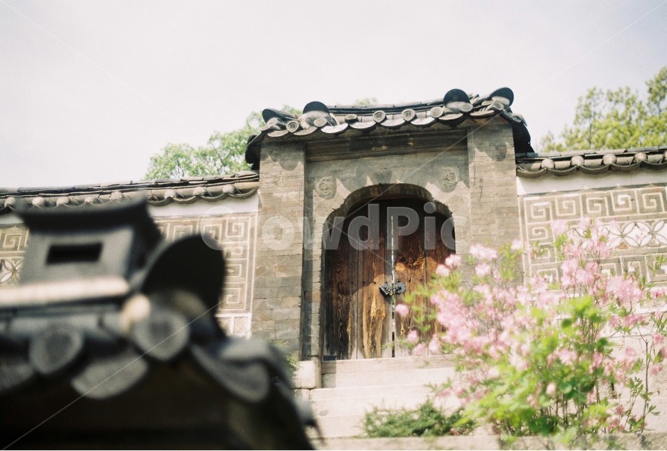 한옥,전통기와,기와집,한국전통,기와,창덕궁,자연,풍경,nature,landscape,한국전통,한국문화,korean traditional,korean culture,랜드마크,landmark,tourist attraction,한국랜드마크,한국관광지,한국명소,korea landmark,korea tourist attraction,건축물,건물외관,exterior,building,structure,architecture,construction