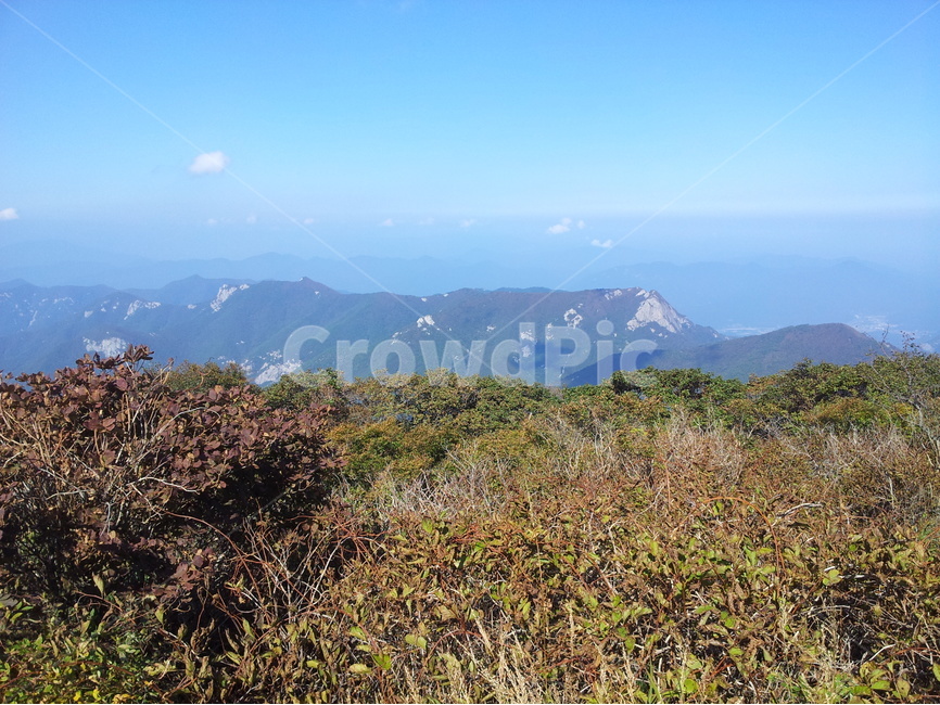 운문산,풍광,경치,한국의산,가을,자연,풍경,nature,landscape,outdoors,옥외,mountain range,산맥,mountain,산