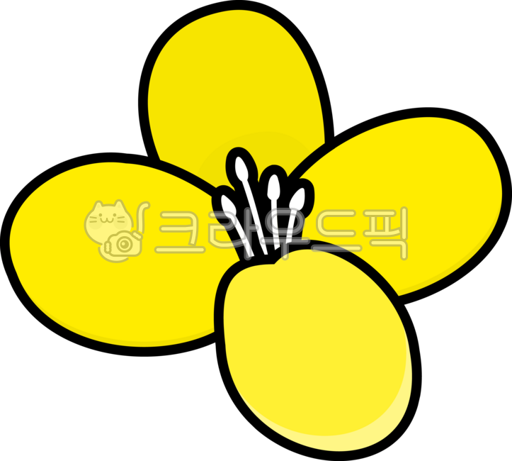 우채,유채꽃,유채꽃밭,꽃밭,축제,봄축제,봄꽃,봄,농장,농업,개화,식물,자연,노랑,노란,노랑색,노란색,네이처,flower,삽화,꽃,도안,yellow,블로섬,만화