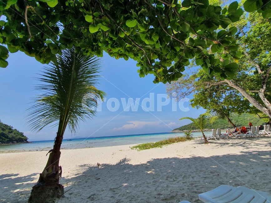 summer,여름,tropical,열렬한,바다,sea,해변,바다,beach,sea