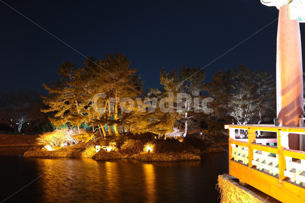 경주,유적지,야경,연못,안압지,야경,밤,풍경,nightscape,night,landscape,한국전통,한국문화,korean traditional,korean culture,랜드마크,landmark,tourist attraction,한국랜드마크,한국관광지,한국명소,korea landmark,korea tourist attraction,건축물,건물외관,exterior,building,structure,architecture,construction,tree,나무,plant,식물