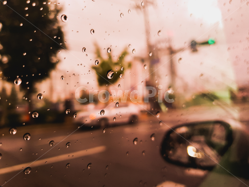 비,물방울,빗방울,감성,비내리는날,비,비오는날,rain,rainy